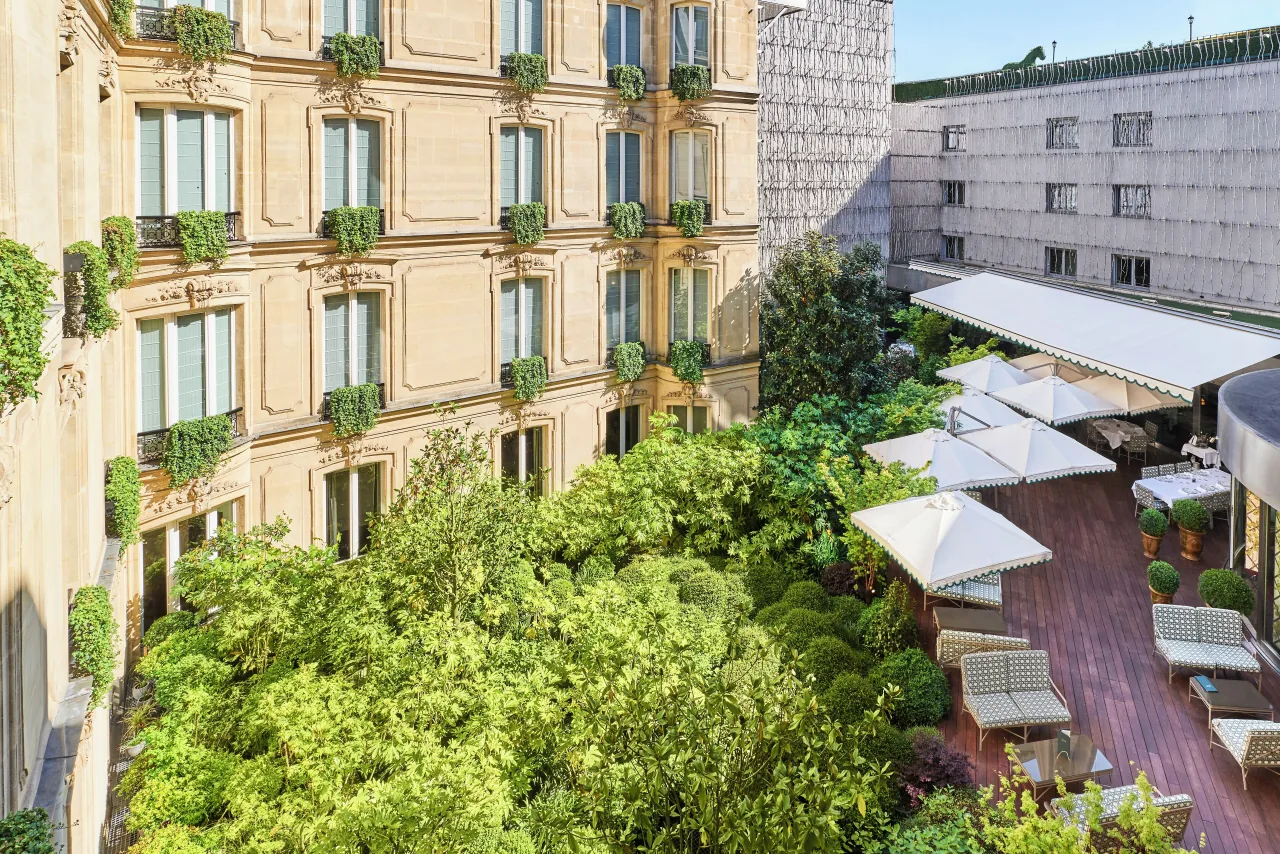 Un jardin intérieur vu d’en haut, des arbres et une terrasse à parasols blancs entre des façades de pierre