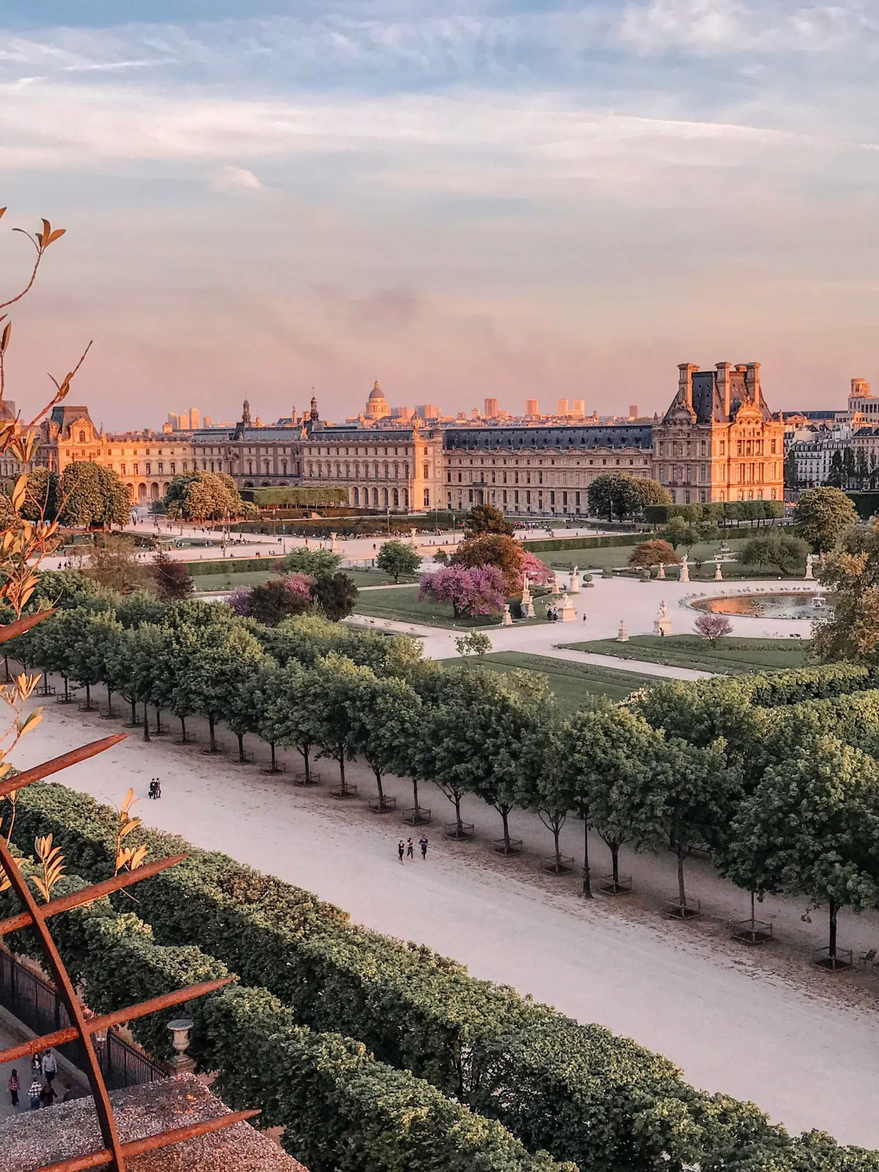 Le jardin des Tuileries vu d’en haut, ses allées d’arbres et de gravier, et le Louvre dans la lumière du soir