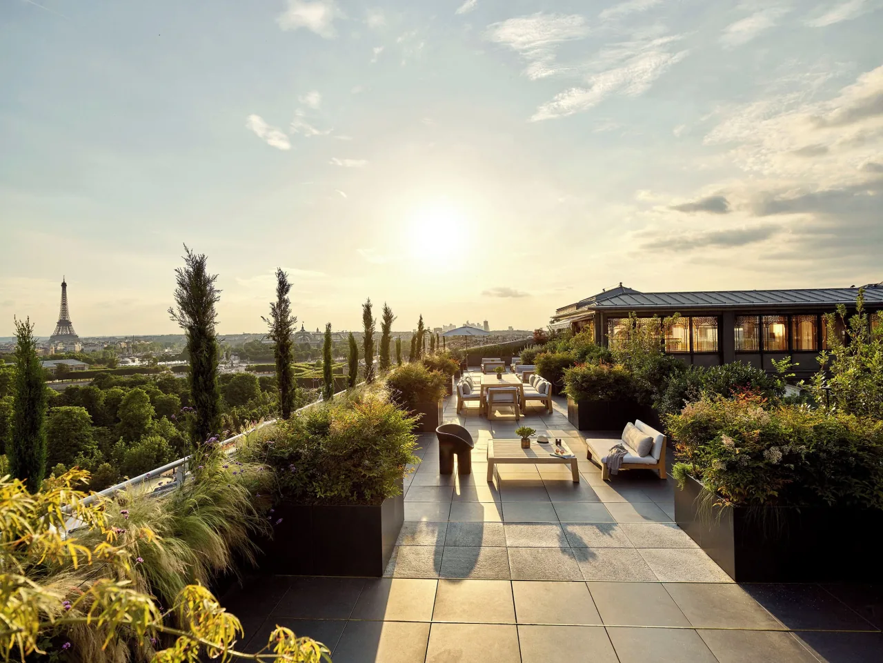 Une terrasse plantée sur le toit, des canapés et des cyprès au coucher du soleil, la tour Eiffel à l’horizon sur la gauche