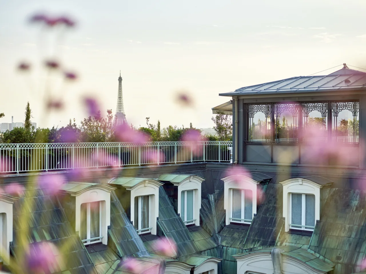 Une terrasse sur le toit et son pavillon vitré au-dessus des toits d’ardoise et des lucarnes, des fleurs roses au premier plan et la tour Eiffel au loin