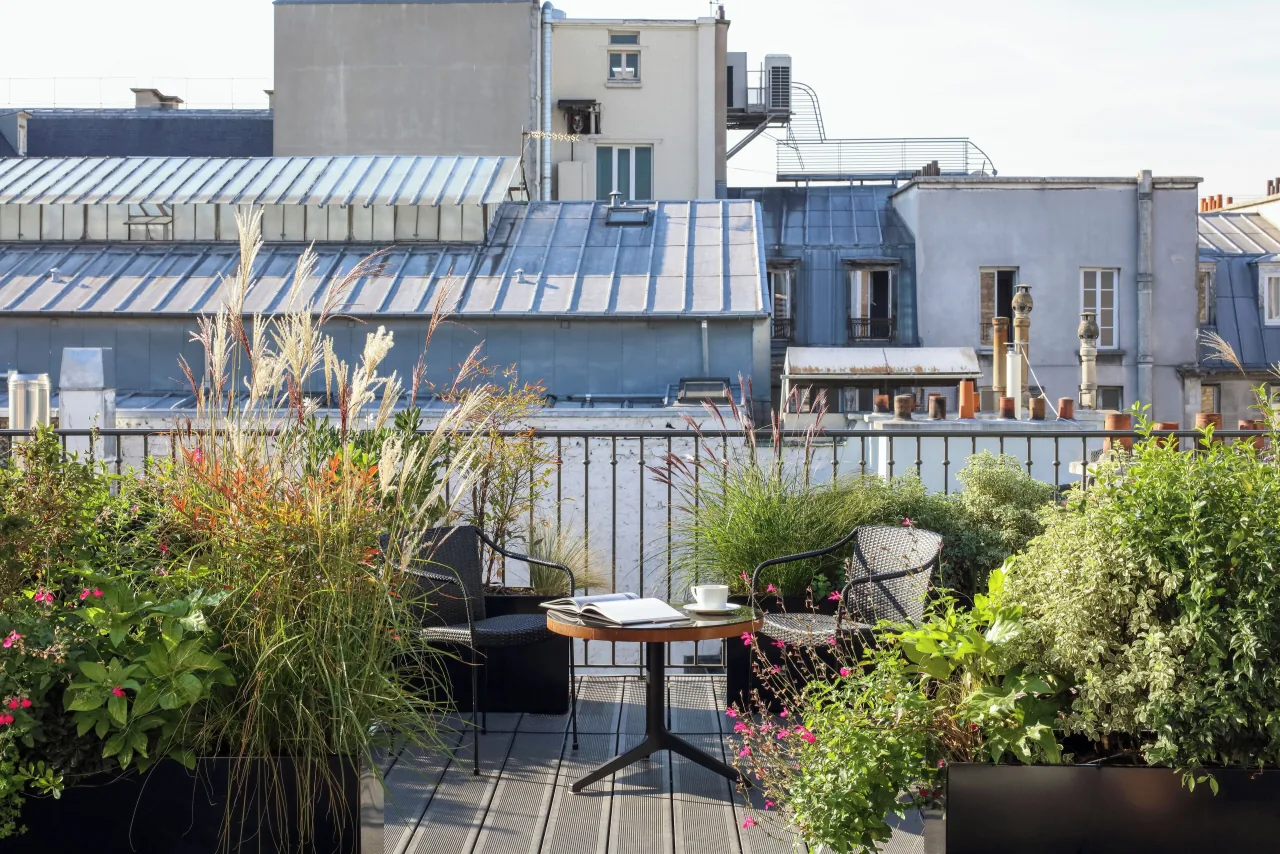 A rooftop terrace planted with tall grasses, a table and chairs, above zinc rooftops